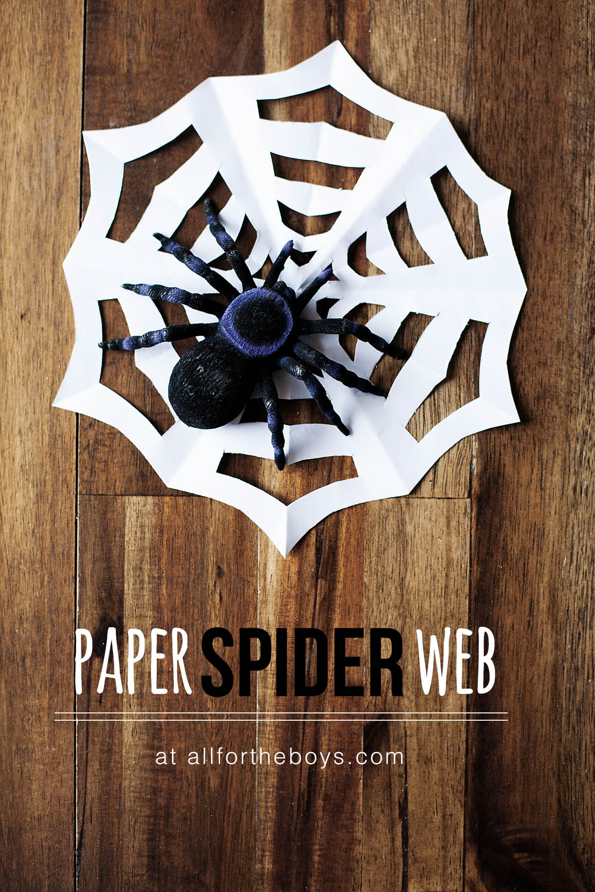 Paper spiderweb â all for the boys