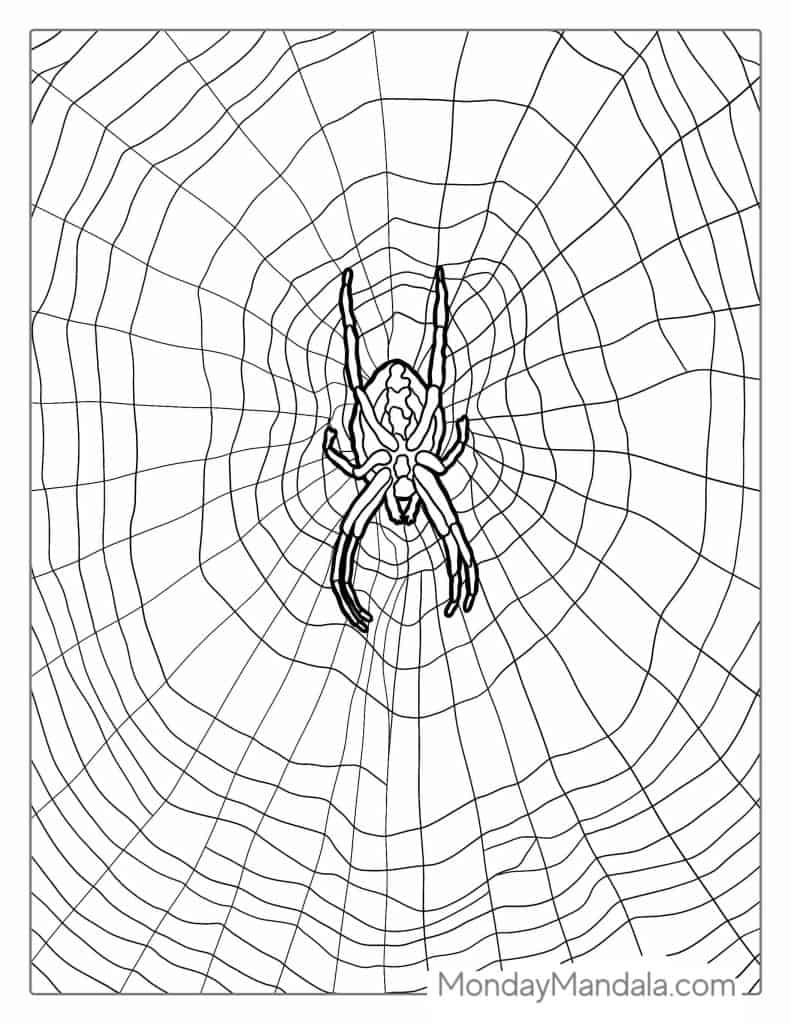 Spider coloring pages free pdf printables