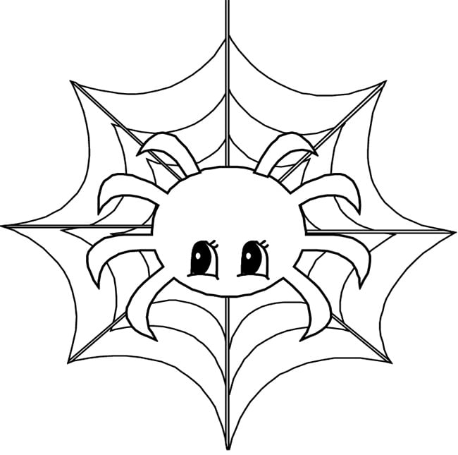Spider shape