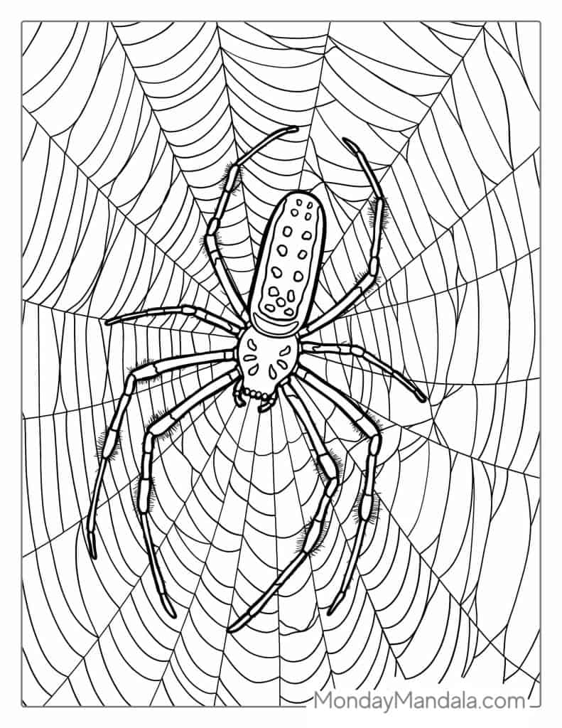 Spider coloring pages free pdf printables