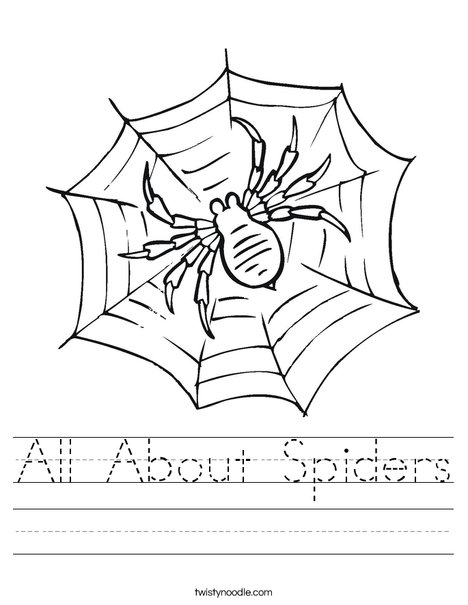 All about spiders worksheet