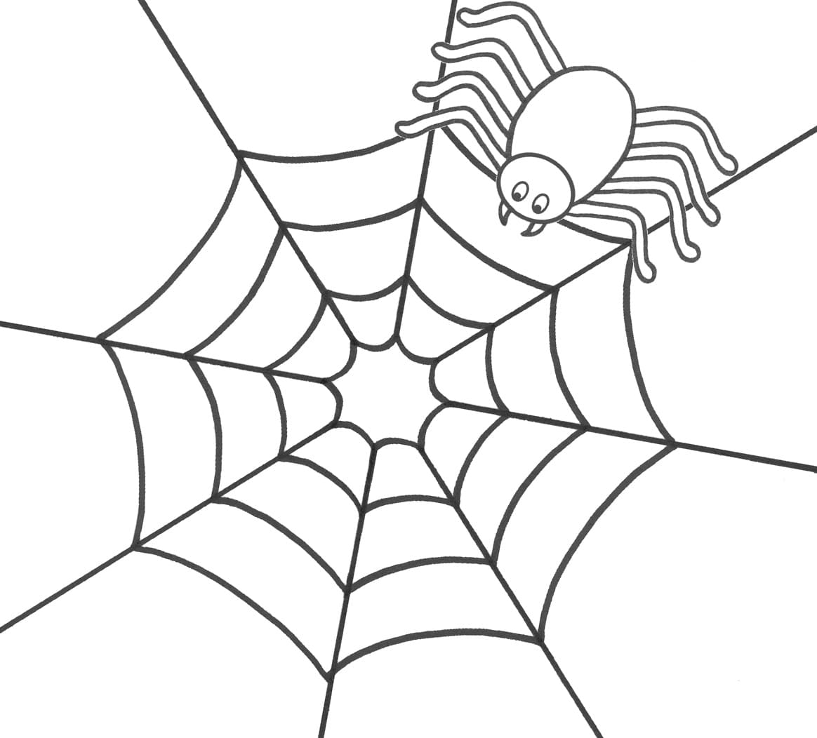 Spider on the spider web coloring page