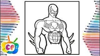 Spider