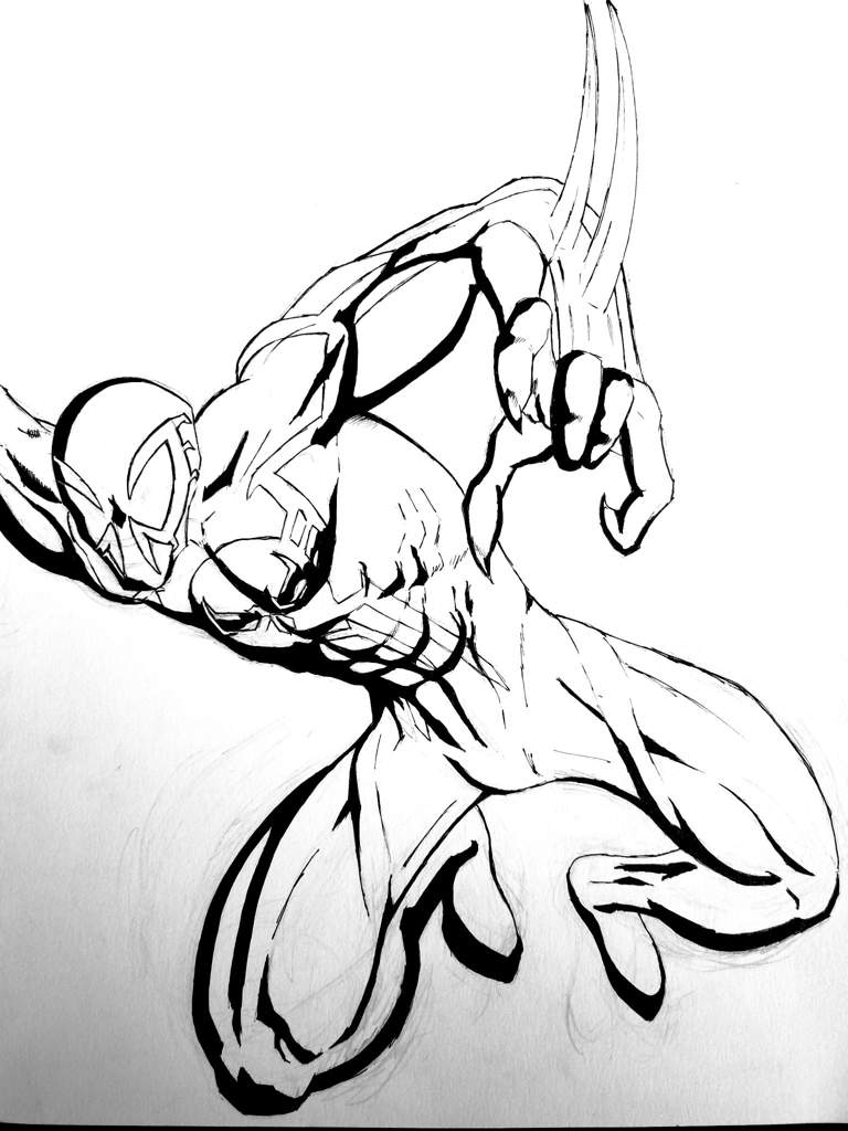 Spider