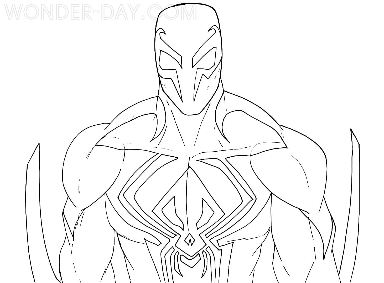 Spider