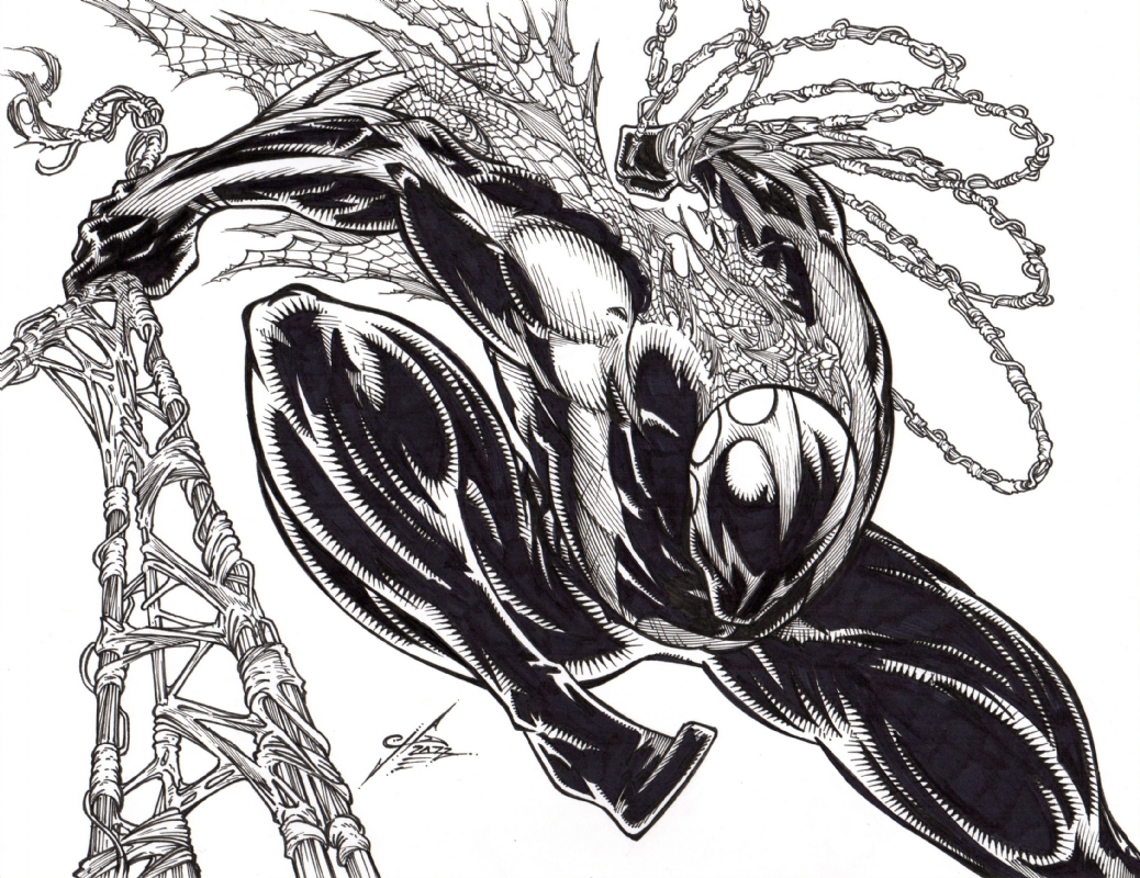 Spider