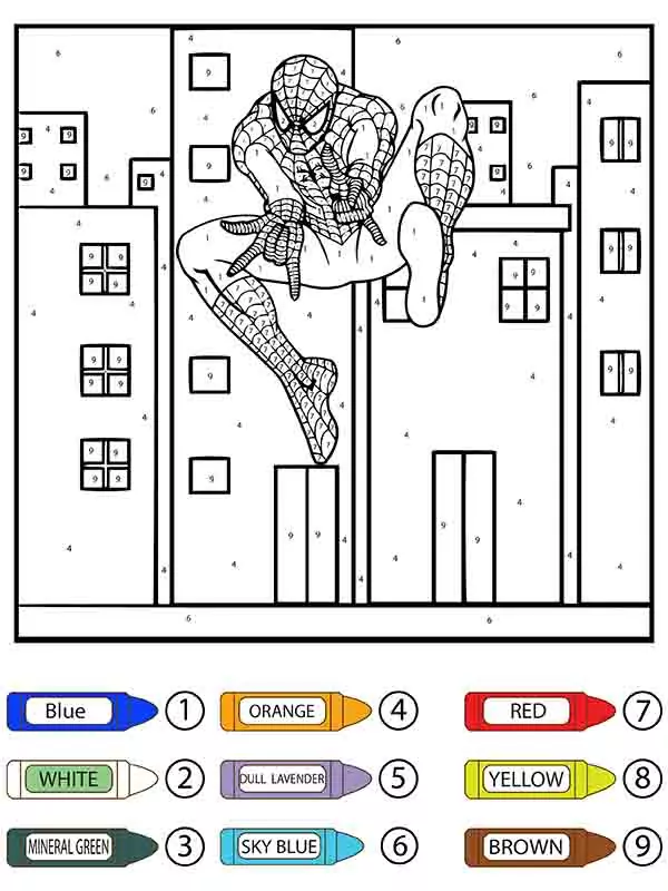 Spider