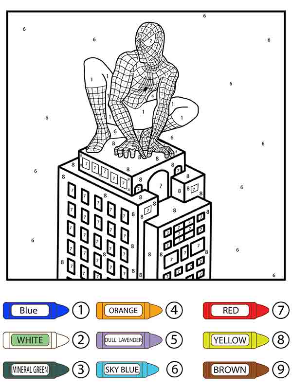 Spider