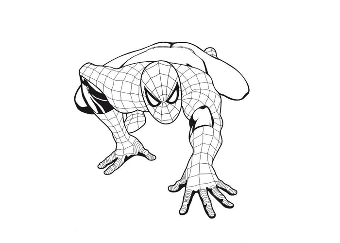 Spiderman coloring pages