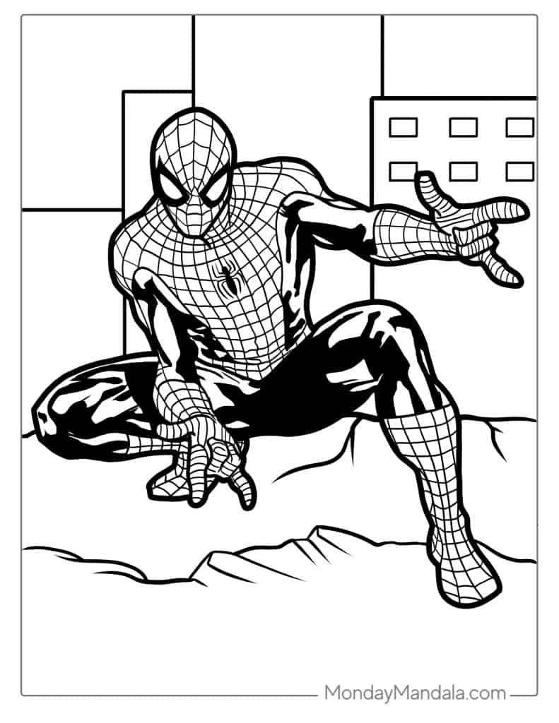 Spider