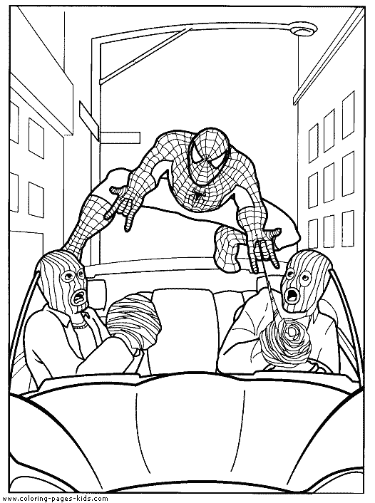 Spider