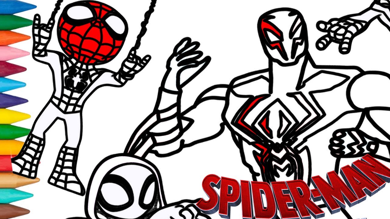 Spider