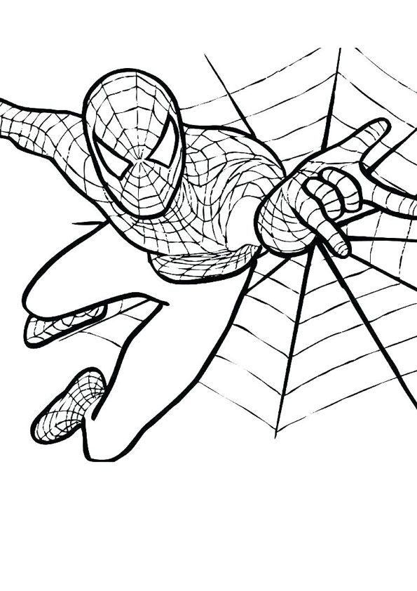 Spider man colorg pages for kids spider colorg page cartoon colorg pages colorg pages to prt