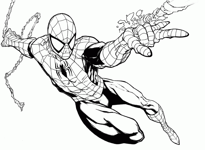 Free spider coloring sheets download free spider coloring sheets png images free cliparts on clipart library