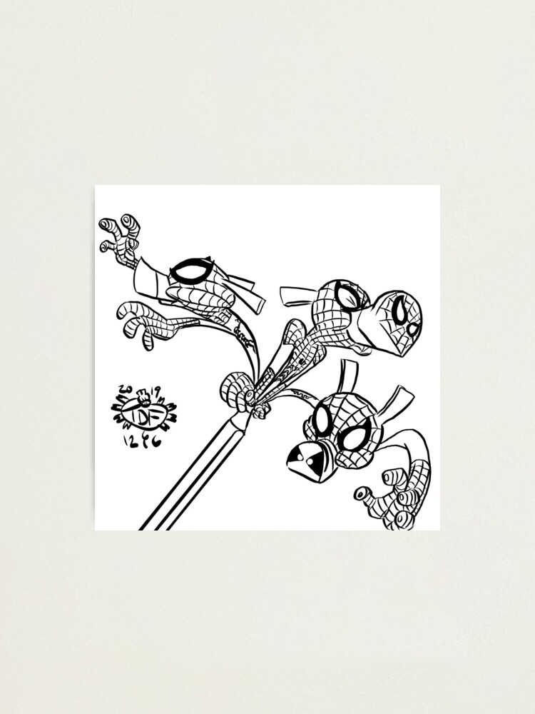 I cant stop drawing spider