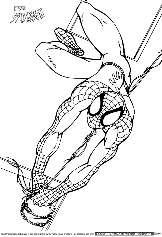 Spiderman coloring