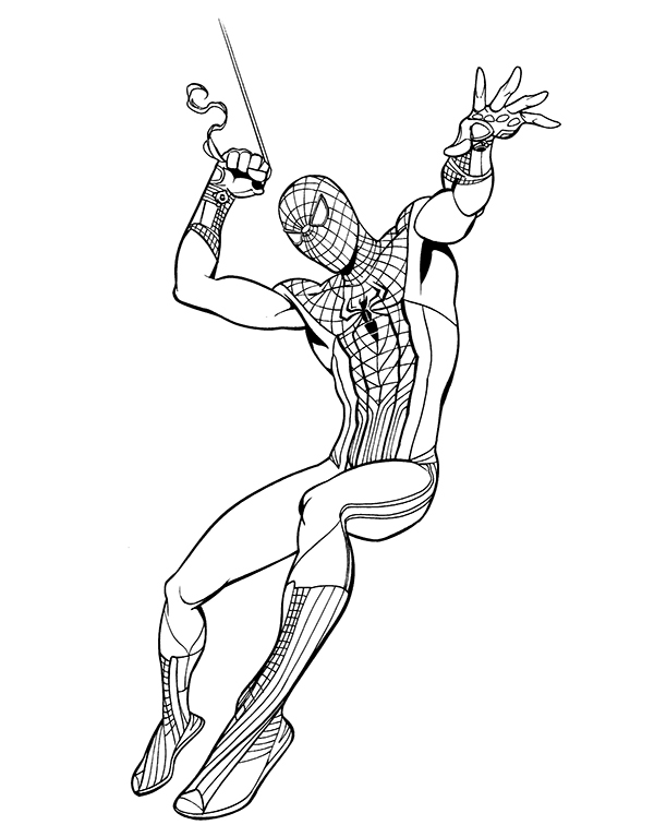 Spider