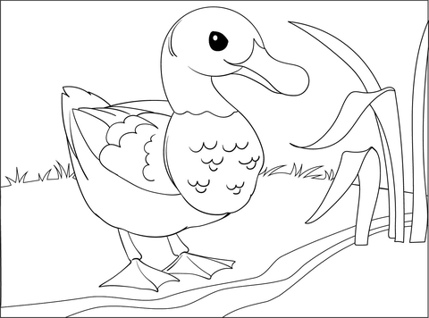 Duck coloring page free printable coloring pages