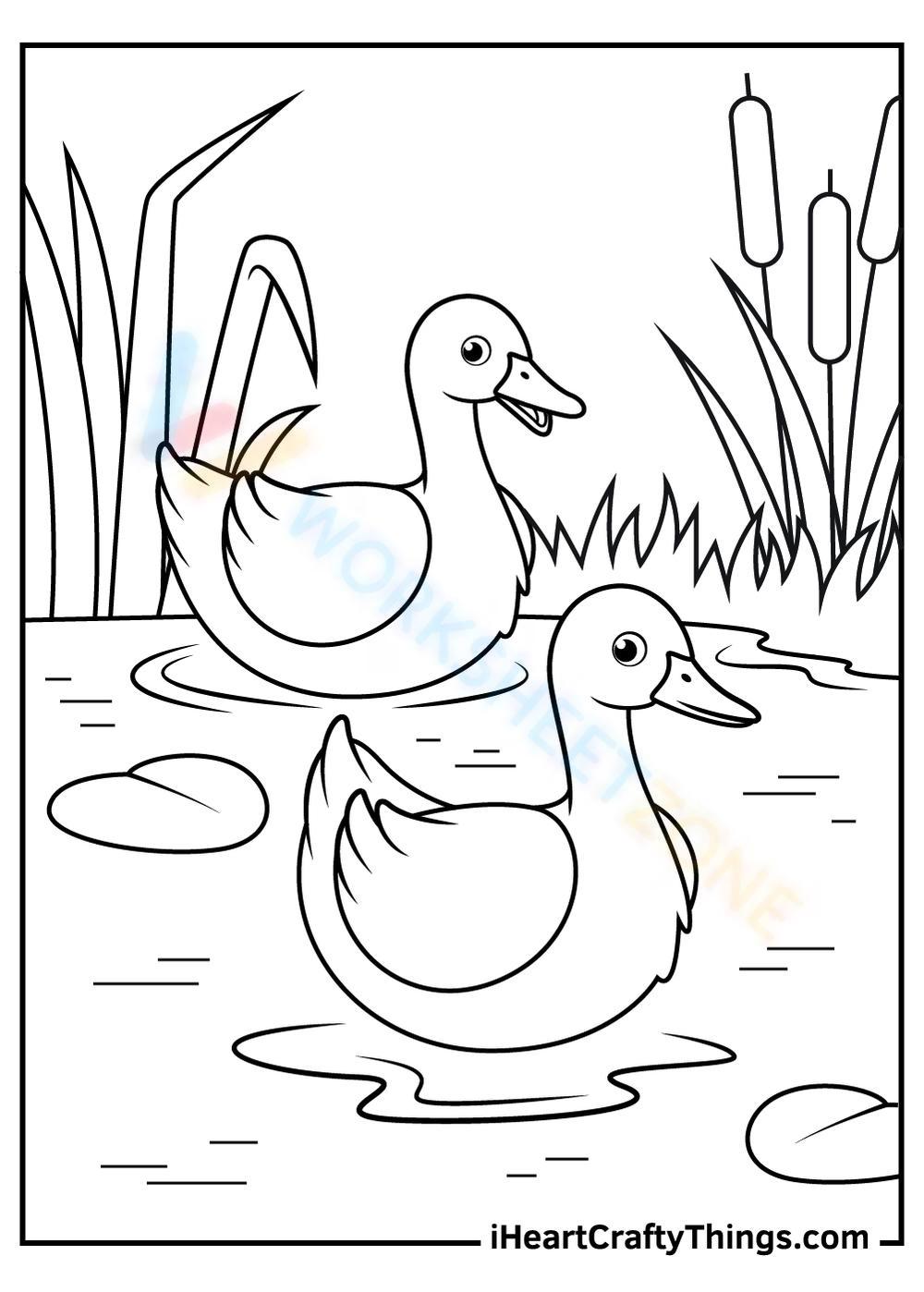 Free collection of duck coloring pages for kids