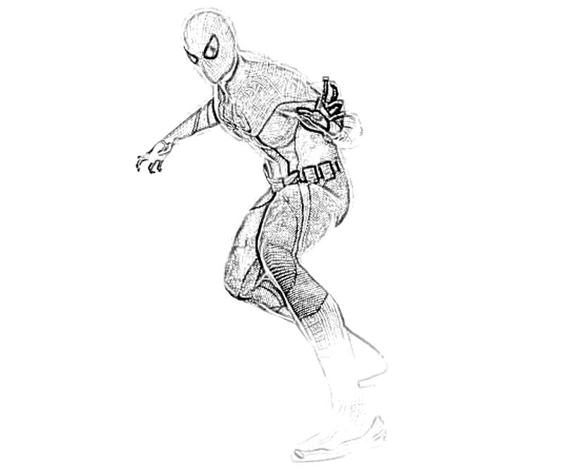 The amazing spider