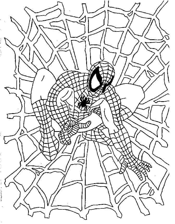 Coloring pages spiderman