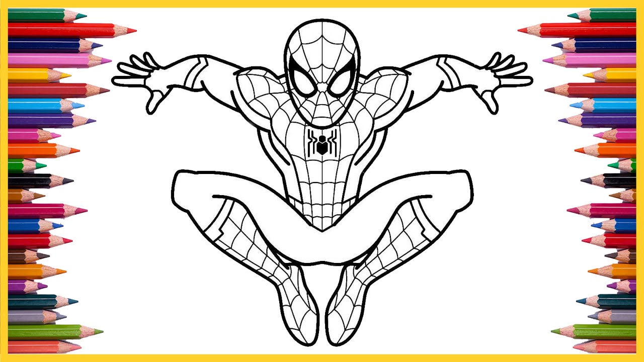Spider