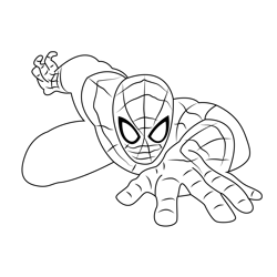 Spider