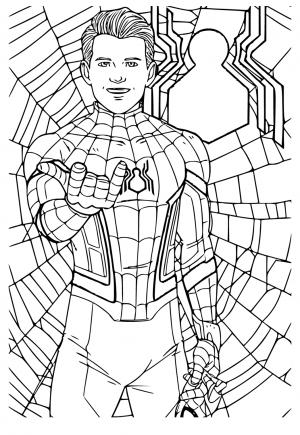 Free printable spiderman coloring pages for adults and kids