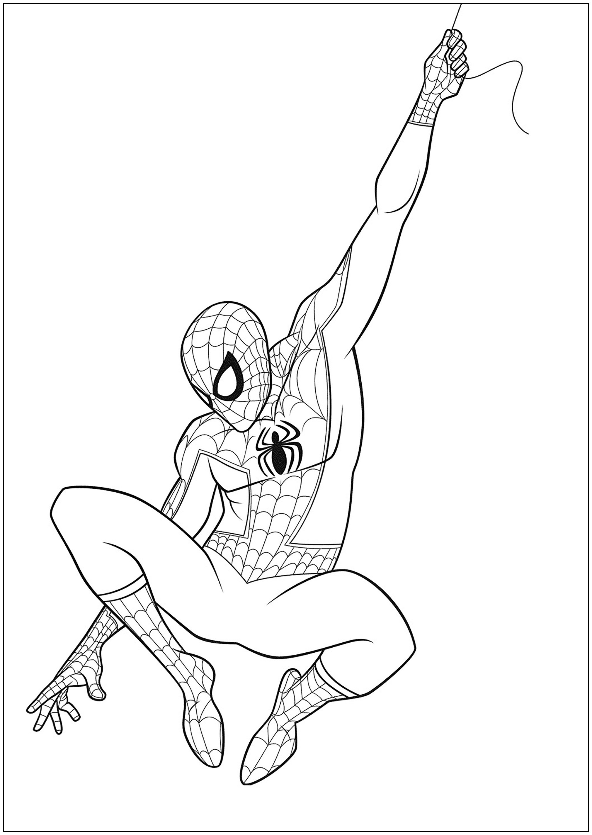 Spider