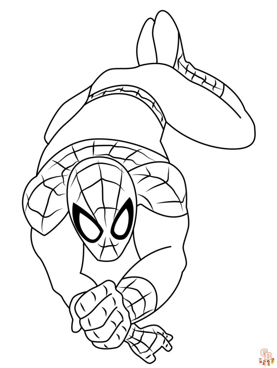 Explore our collection of printable spiderman coloring pages free