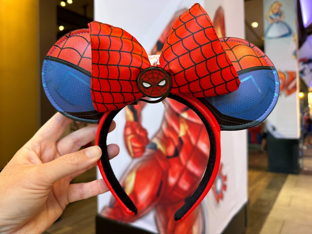 New spider