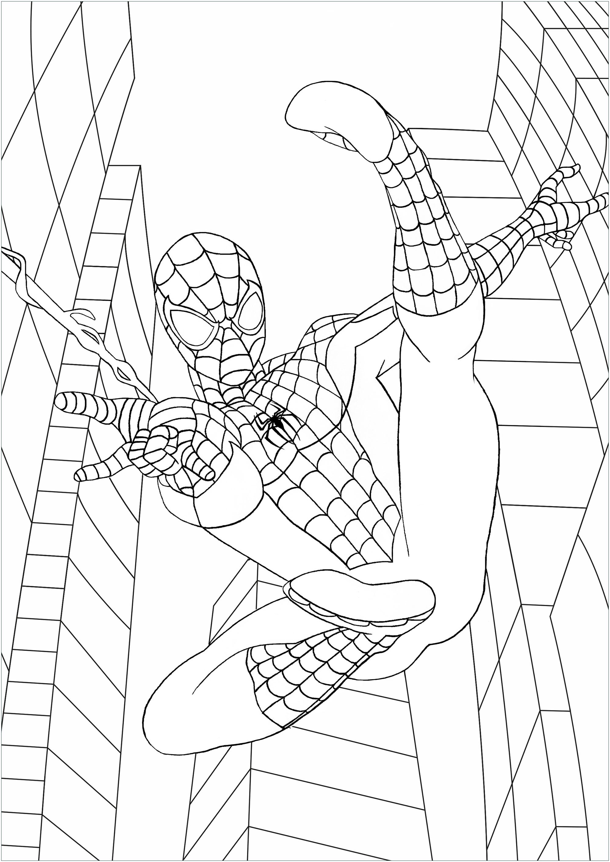 Easy free spiderman coloring page to download from the gallery spiderman free coloring pages free kids coloring pages printable coloring book