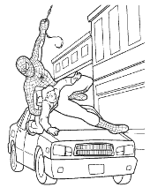 Spider