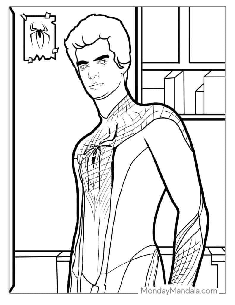 Spider