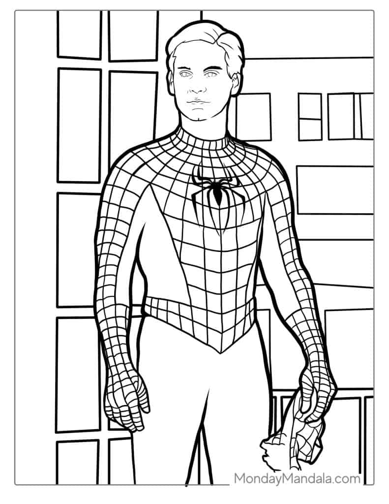 Spider