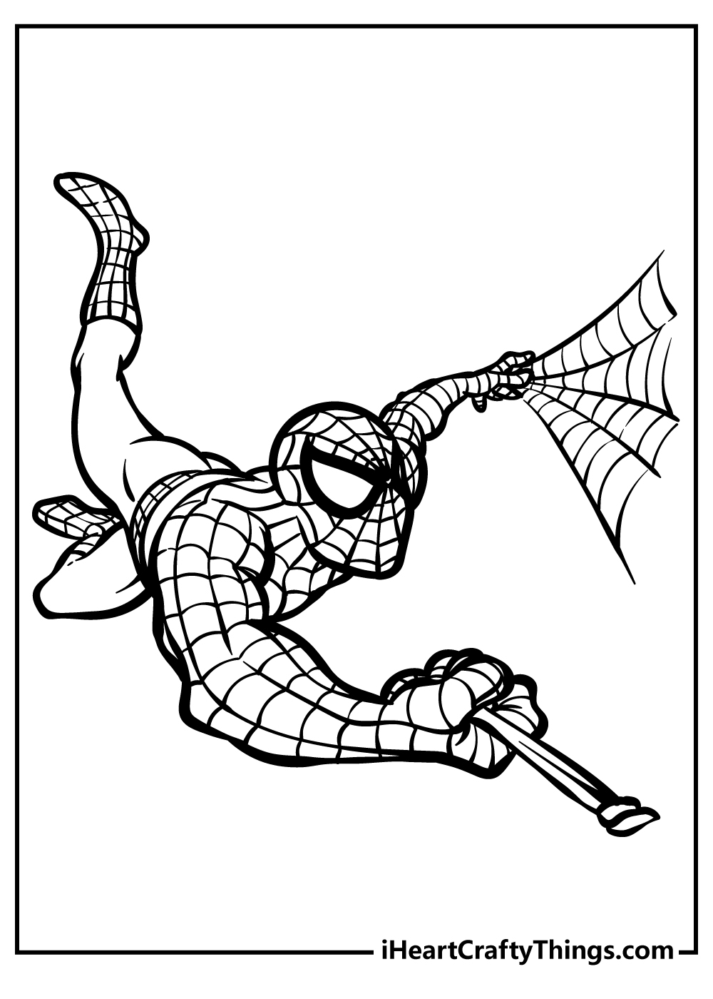 Spider