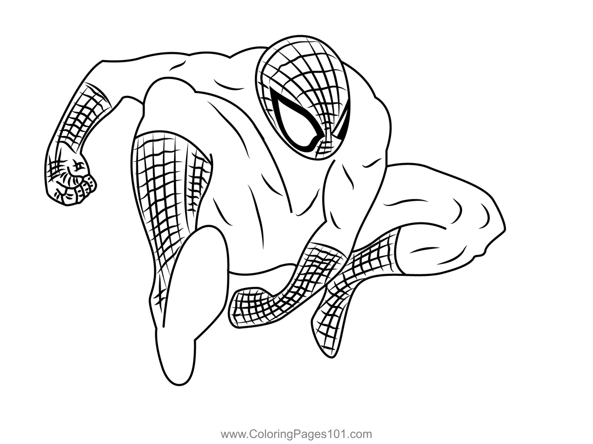 Spiderman coloring page for kids