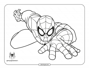 Spider