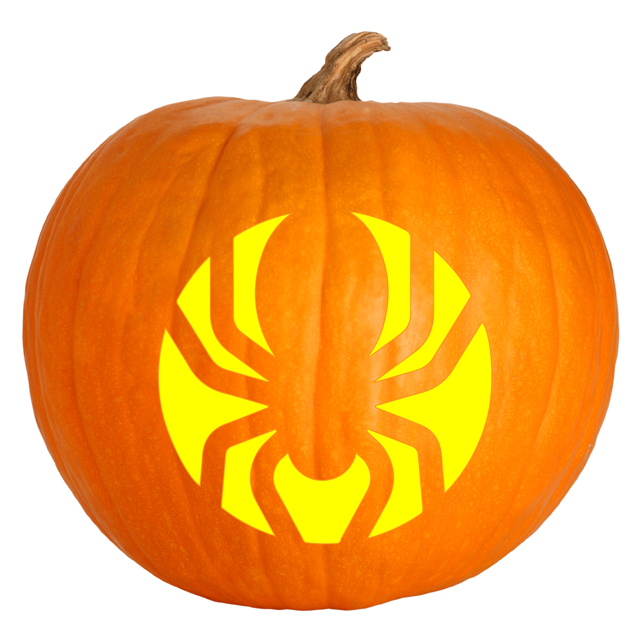 Easy spider pumpkin carving stencil