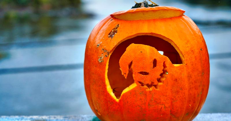 Updated how to convert an svg file into a pumpkin template