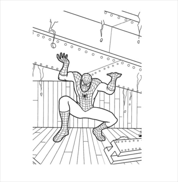 Spider