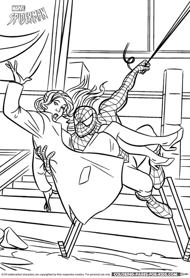 Spider