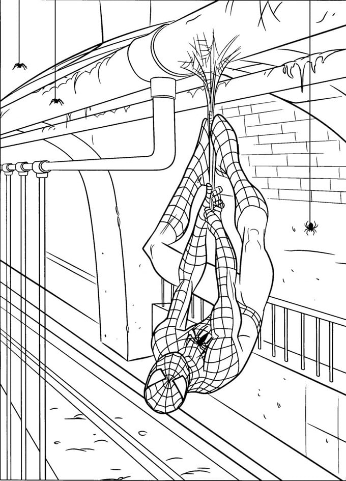 Spiderman colouring pages