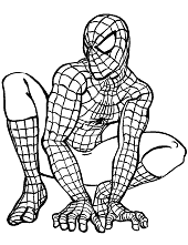 Spider