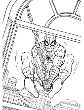 Spider