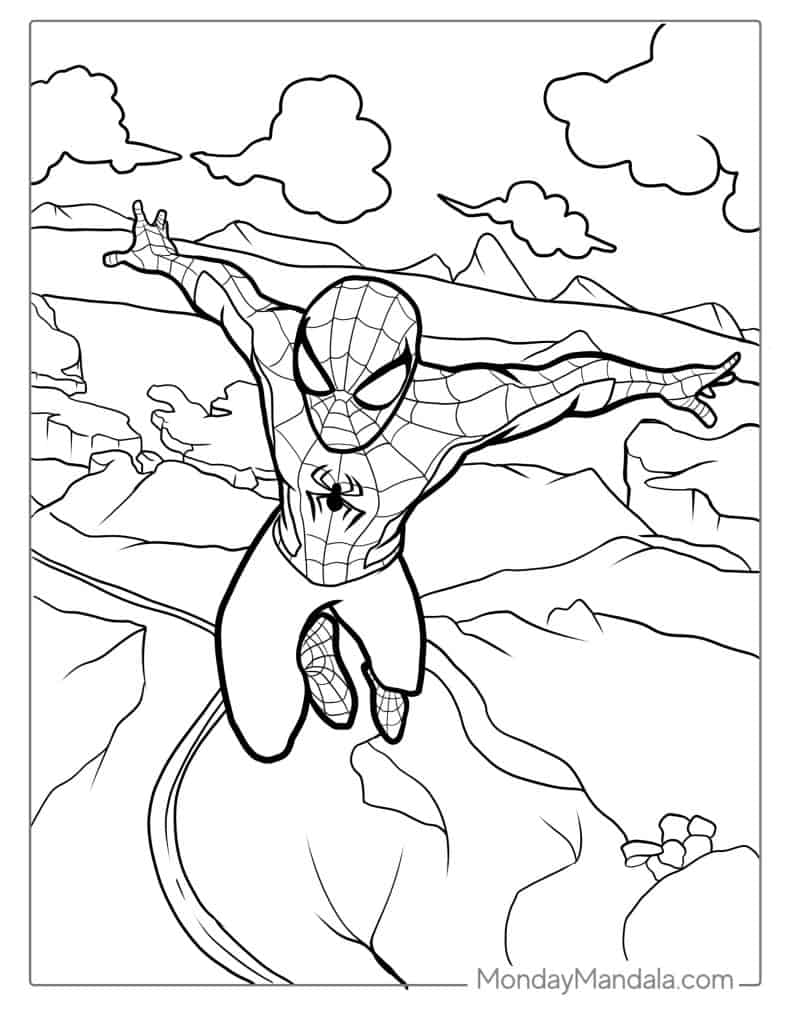 Spider