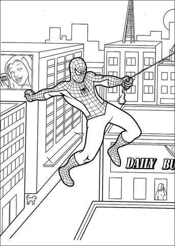 Spider