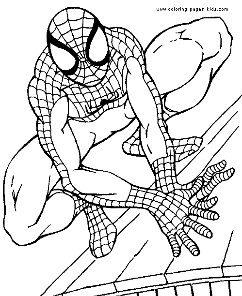 Spider