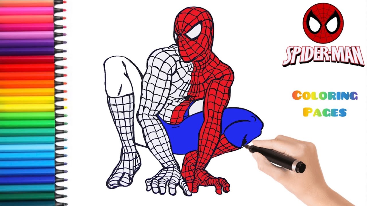 Coloring spider