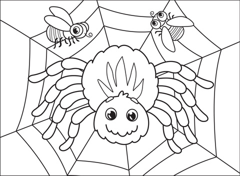 Spider coloring page free printable coloring pages